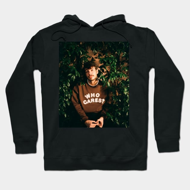 rex orange county brown Hoodie by Pop-clothes